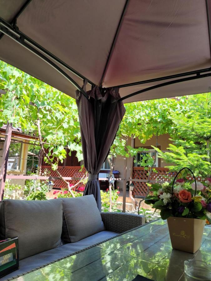 Casa Badea Hotell Murighiol Eksteriør bilde